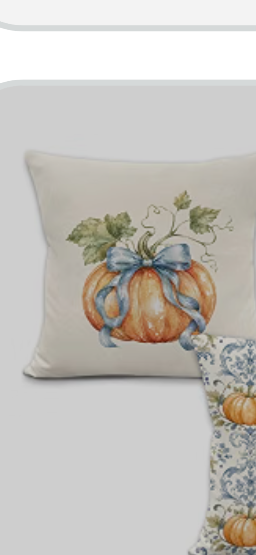 Pumpkin - Throw pillow